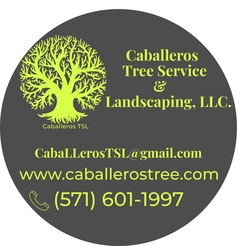 Caballeros Tree Service & Landscaping, LLC. - Vienna, VA, USA