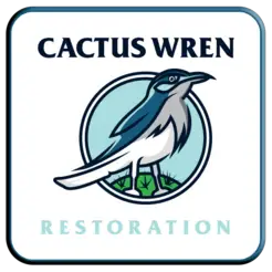 Cactus Wren Restoration - Gilbert, AZ, USA