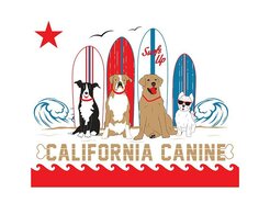 California Canine - Encinitas, CA, USA