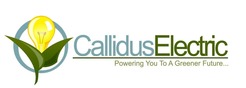Callidus Electric - Las Vegas, NV, USA