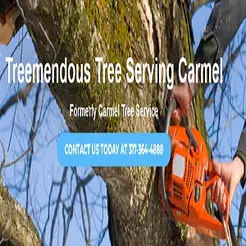 Carmel Tree Service - Carmel, IN, USA