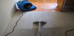 Carpet Cleaning Browns Plains - Brown Plains, QLD, Australia