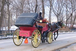 Central Park Carriages - New York City, NY, USA