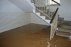 Choice Flood Damage Restoration Perth - Perth, WA, Australia