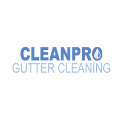 Clean Pro Gutter Cleaning Newport News - Newport News, VA, USA