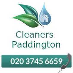 Cleaning Services Paddington