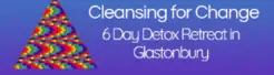 Cleansing Retreat - Glastonbury, Somerset, United Kingdom