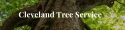 Cleveland Tree Service - Cleveland, OH, USA