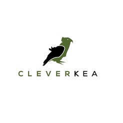 Clever Kea - Christchurch, Canterbury, New Zealand