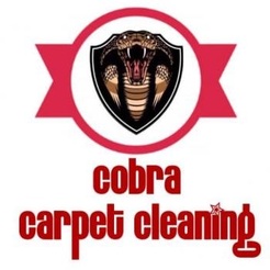 Cobra Cleaning - Reading, Berkshire, United Kingdom
