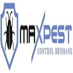 Cockroach Pest Control Brisbane - Brisbane City, QLD, Australia