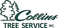 Collins Tree Service Inc - Hooksett, NH, USA