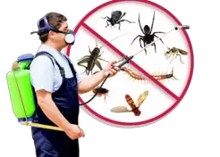 Commercial Pest Control Melbourne - Melbourne, VIC, Australia