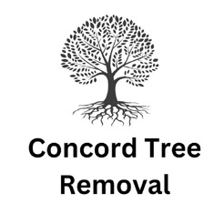 Concord Tree Removal - Concord, NH, USA Concord Tree Removal - Concord, NH, USA