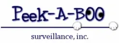 Covert One Security Cameras - Southfield, MI, USA