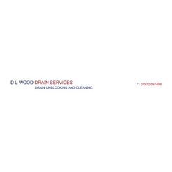 DL WOOD DRAIN SERVICES - Staines, Middlesex, United Kingdom