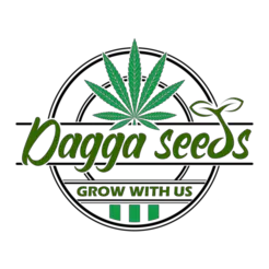 Dagga Seeds - St. John's, NL, Canada