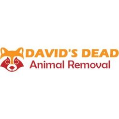 David\'s Dead Rodent Removal Brisbane - Brisbane City, QLD, Australia