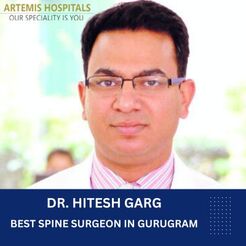 Dr. Hitesh Garg Gurugram - Coimbatore, Nelson, New Zealand