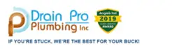 Drain Pro Plumbing Inc - Puyallup, WA, USA