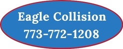 Eagle Collision - Chicago, IL, USA Eagle Collision - Chicago, IL, USA