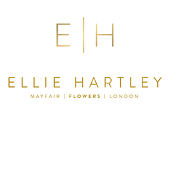 Ellie Hartley Flowers - Mayfair, London W, United Kingdom