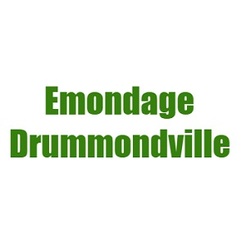 Emondage Drummondville - Drummondville, QC, Canada
