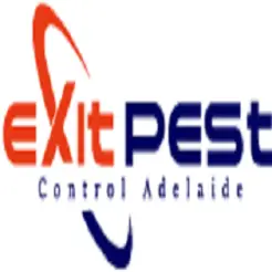Exit Spider Control Adelaide - Adelaide, SA, Australia