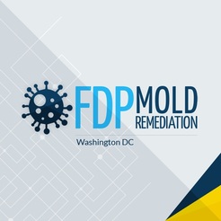 FDP Mold Remediation | Mold Remediation Washington - Washington, DC, USA