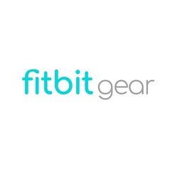 Fitbit Gear - Christchurch, Canterbury, New Zealand