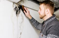 Frampton Place Mold Removal Experts - Brentwood, TN, USA