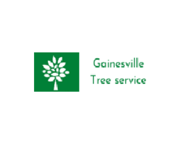 Gainesville Tree Service Pros - Gainesville, FL, USA
