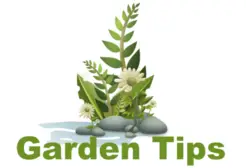 Gardentips - London, London S, United Kingdom