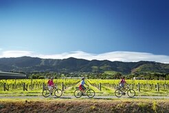 Gentle Cycling Company - Tahunanui, Nelson, New Zealand Gentle Cycling Company - Tahunanui, Nelson, New Zealand