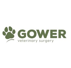 Gower Veterinary Surgery - Swansea, Swansea, United Kingdom