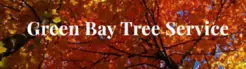 Green Bay Tree Service - Green Bay, WI, USA