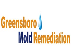 Greensboro Mold Remediation INC - Greensboro, NC, USA
