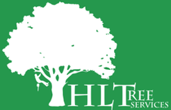 HLTree Services - Anstruther, Fife, United Kingdom