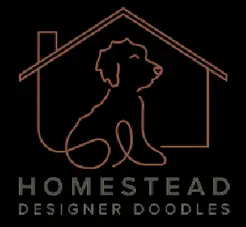Homestead Designer Doodles - Hull, GA, USA Homestead Designer Doodles - Hull, GA, USA