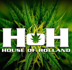 House of Holland - Santa Ana, CA, USA