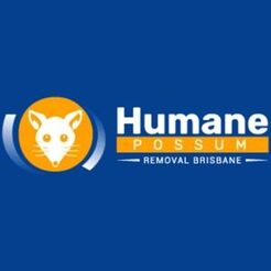 Humane Possum Removal Gold Coast - Brisbane, QLD, Australia