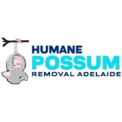 Humane Possum Removal St Agnes - Adelaide, SA, Australia
