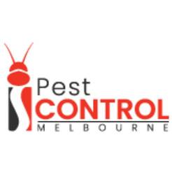 I Possum Removal Melbourne - Melbourne, VIC, Australia