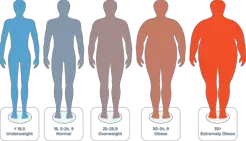 Importance of BMI calculator - Lahore, LA, USA