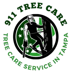 JDM Tree Service - Tampa, FL, USA
