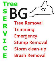 Jeffersonville Tree Service - Jeffersonville, IN, USA