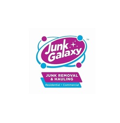 Junk Galaxy - Knoxville, TN, USA