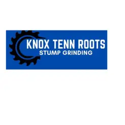 Knox tenn roots - Friendsville, TN, USA