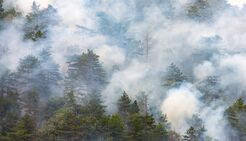 Lakeside Smoke Damage Experts - Jacksonville, FL, USA Lakeside Smoke Damage Experts - Jacksonville, FL, USA