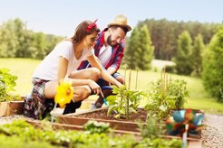 Landscapers Sydenham - London,, Conwy, United Kingdom Landscapers Sydenham - London,, Conwy, United Kingdom